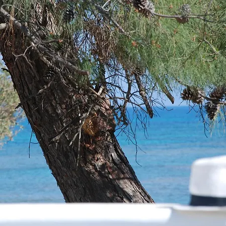 Casa Montzo Boutique