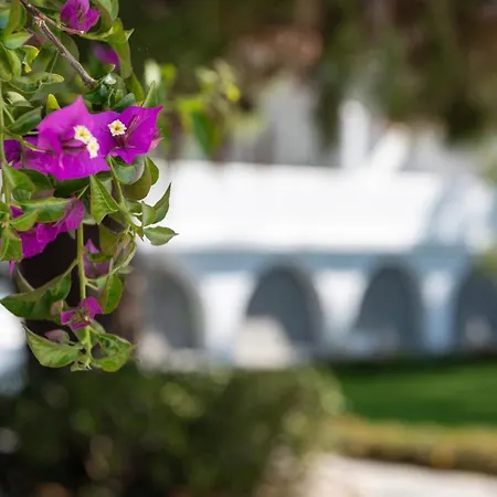 Casa Montzo Boutique * Κατελειός
